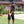 Load image into Gallery viewer, Youth Tiger