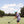 Load image into Gallery viewer, Youth Tropical Polo