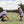 Load image into Gallery viewer, Youth Tropical Polo